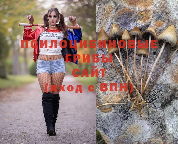 mdpv Бугульма