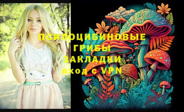 ПСИЛОЦИБИНОВЫЕ ГРИБЫ Бородино