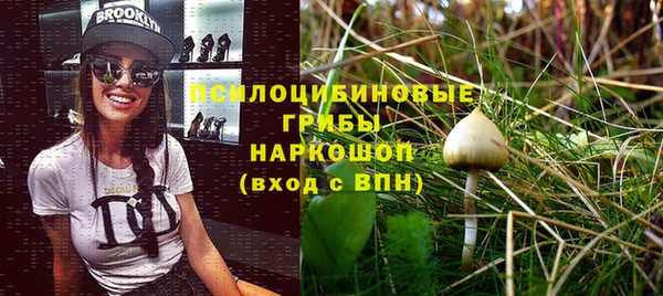 mdpv Бугульма