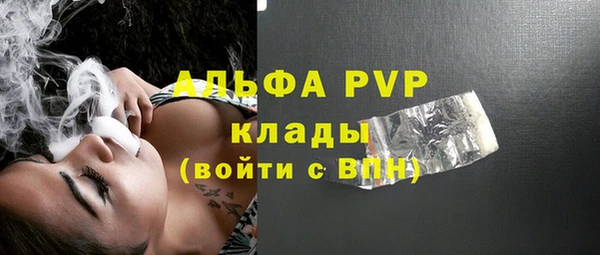 ПСИЛОЦИБИНОВЫЕ ГРИБЫ Бородино