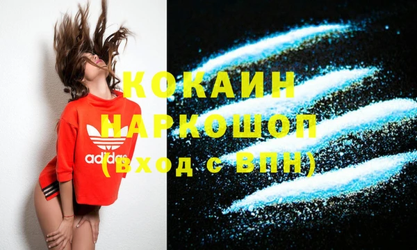 ПСИЛОЦИБИНОВЫЕ ГРИБЫ Бородино