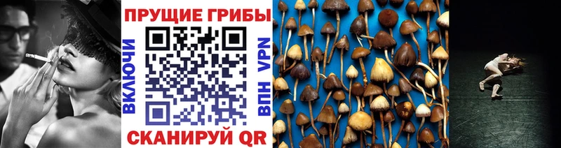 Псилоцибиновые грибы Magic Shrooms  MEGA зеркало  Высоцк  цены наркотик 